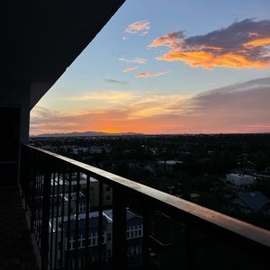 Meet your Posher, Esme